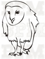 /album/vtaky/vtaky-14-jpg/